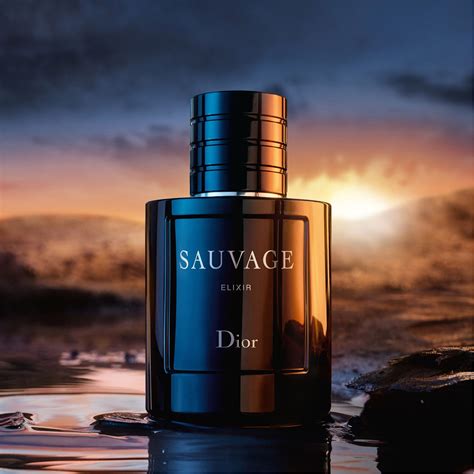 dior sauvage elixir 300ml|dior elixir 100ml price.